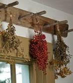 herbs